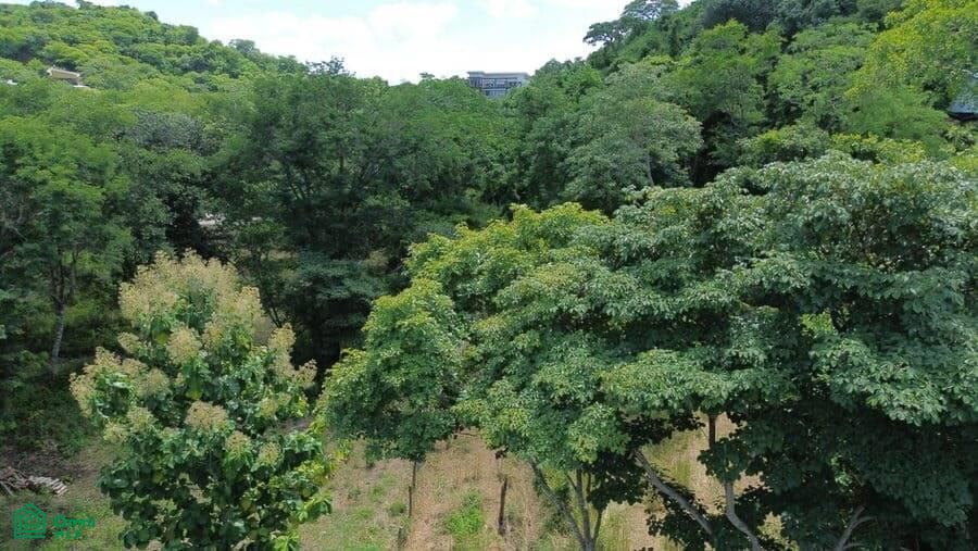 5,000 M2 LOT - La Marcela Playa Potrero 