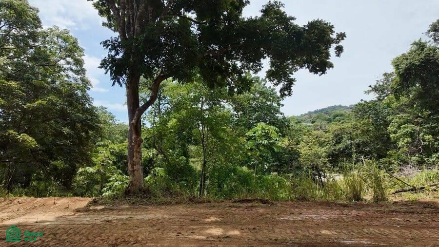 5,000 M2 LOT - La Marcela Playa Potrero 