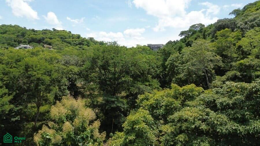 5,000 M2 LOT - La Marcela Playa Potrero 