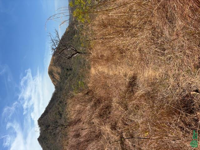 Brasilito 950 acres with water- Toro Azul