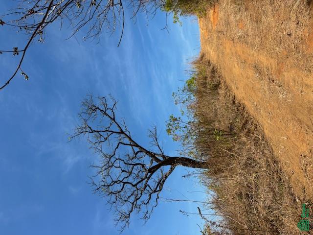 Brasilito 950 acres with water- Toro Azul