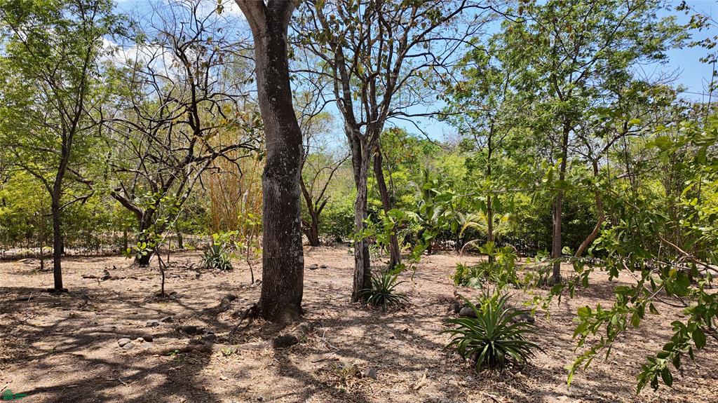 Casita Escondida - Rancho Cartagena