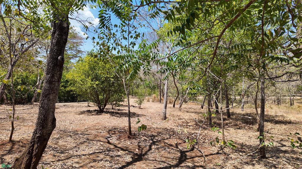 Casita Escondida - Rancho Cartagena