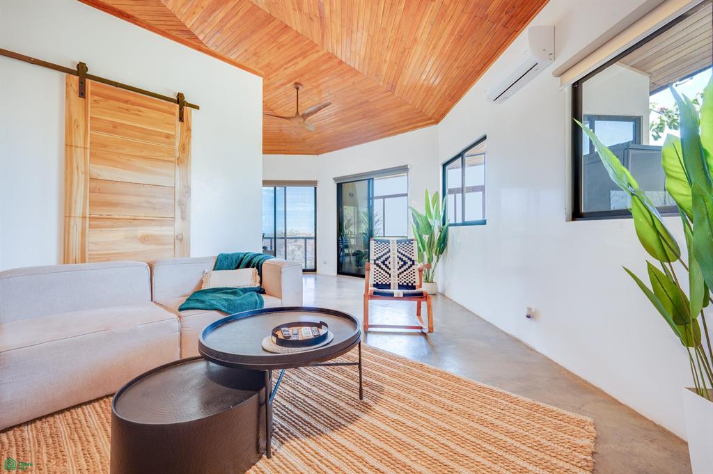 Casa Senara & Casa Arbol - Palo Vista