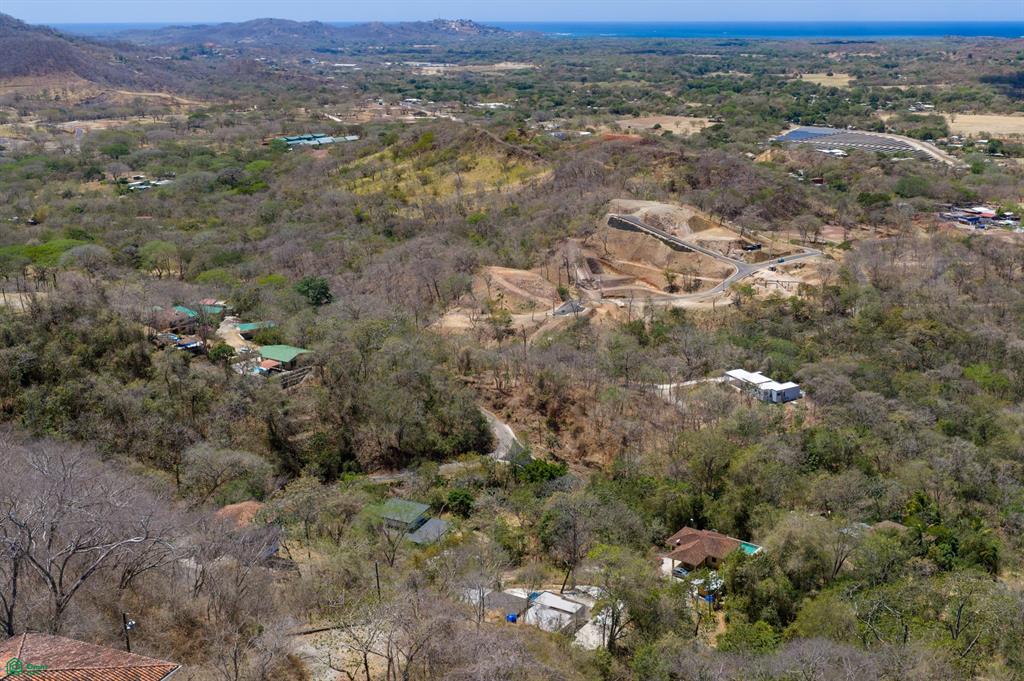 Casa Senara & Casa Arbol - Palo Vista