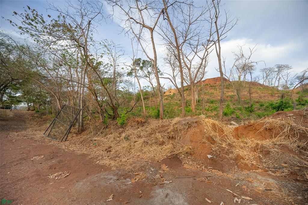 Lower Lot 4 - Palo Vista, Near Huacas