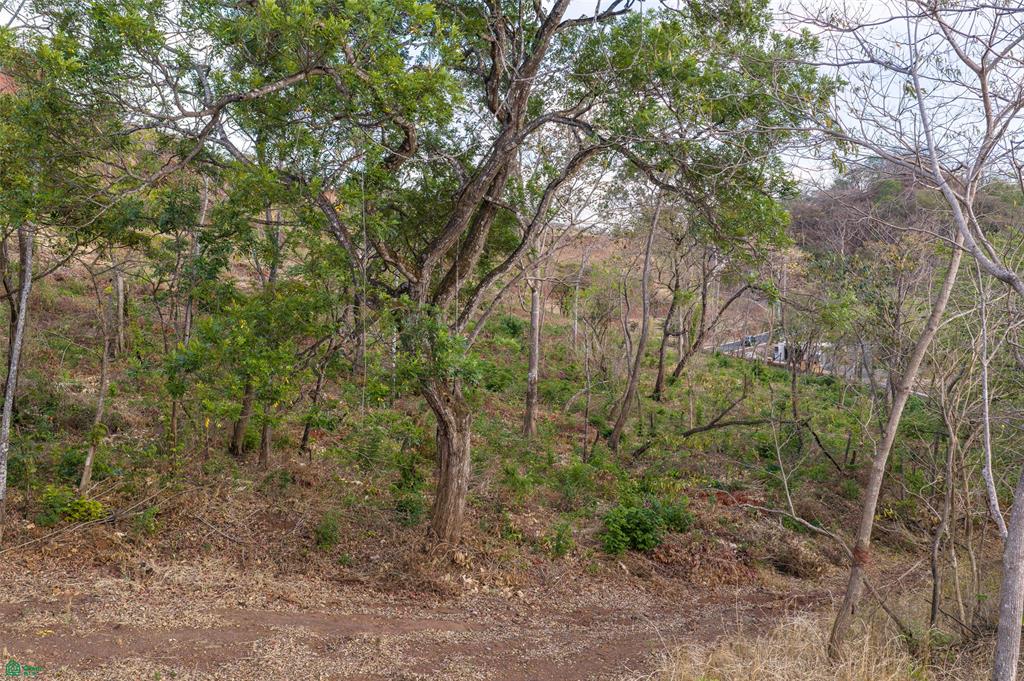 Lower Lot 4 - Palo Vista, Near Huacas