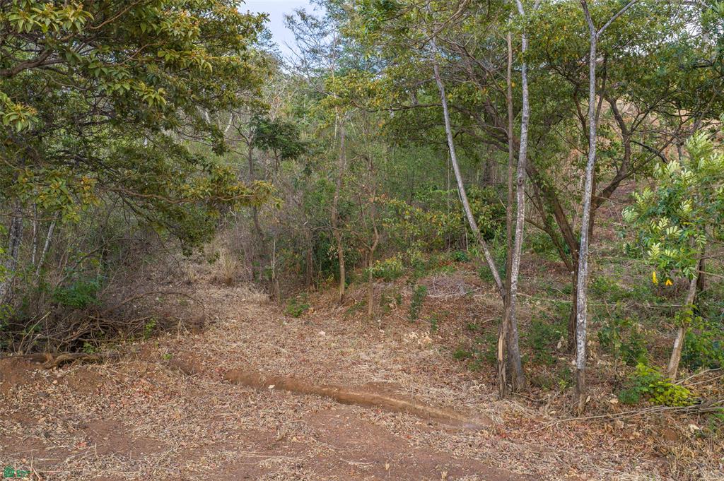 Lower Lot 5 - Palo Vista