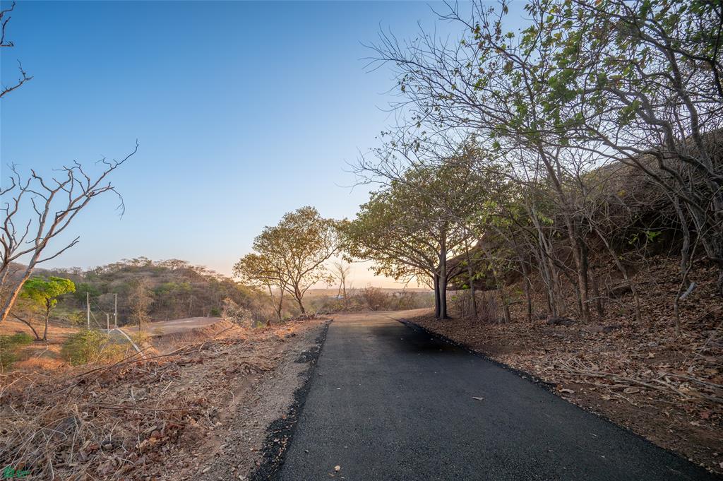 Lot 6 & 7 Expansive Views - Palo Vista