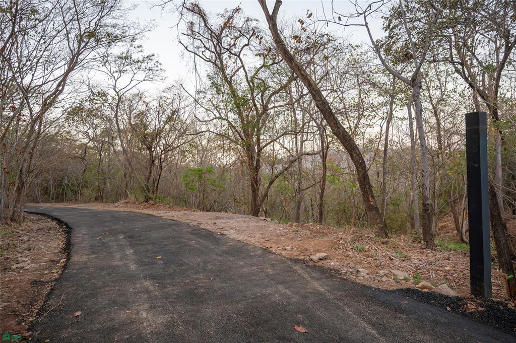 Lot 9 - Palo Vista