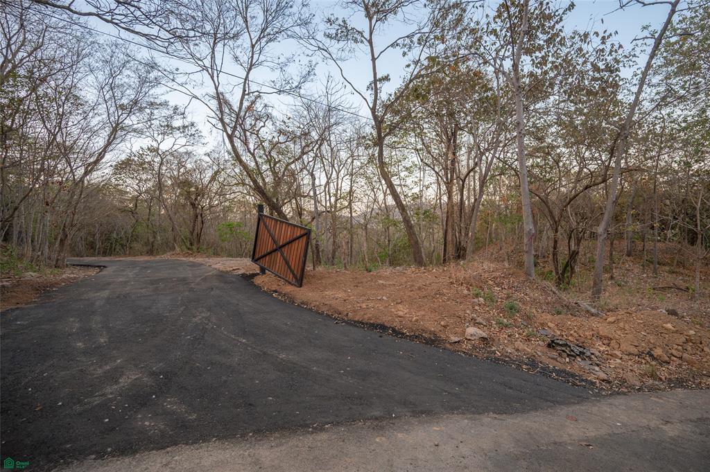 Lot 9 - Palo Vista