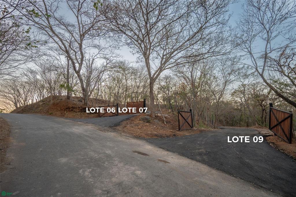 Lot 9 - Palo Vista