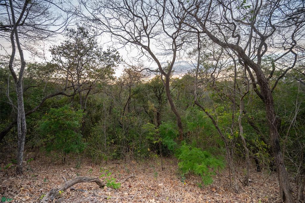 Lot 11 - Palo Vista, Near Huacas