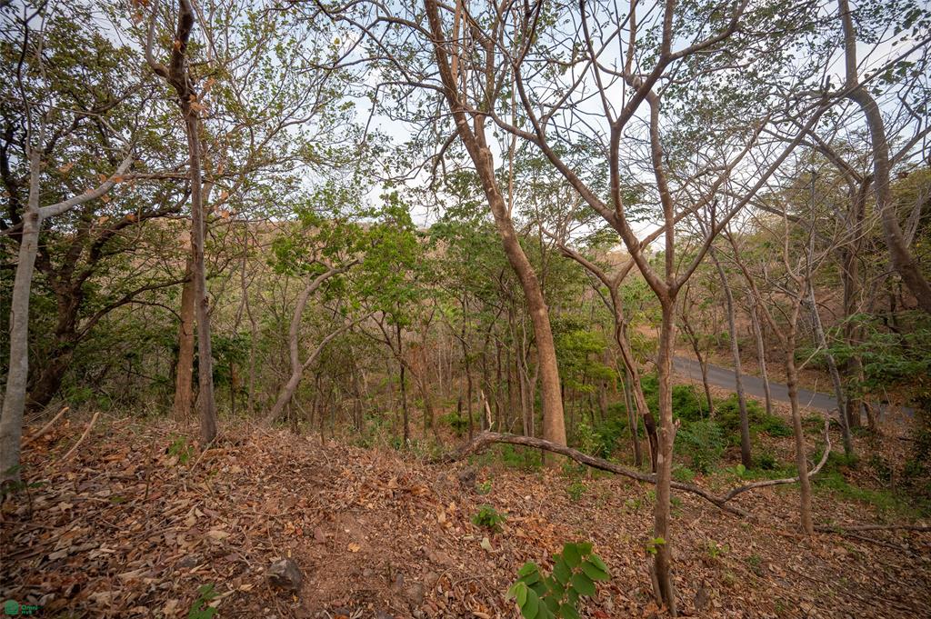 Lot 11 - Palo Vista, Near Huacas
