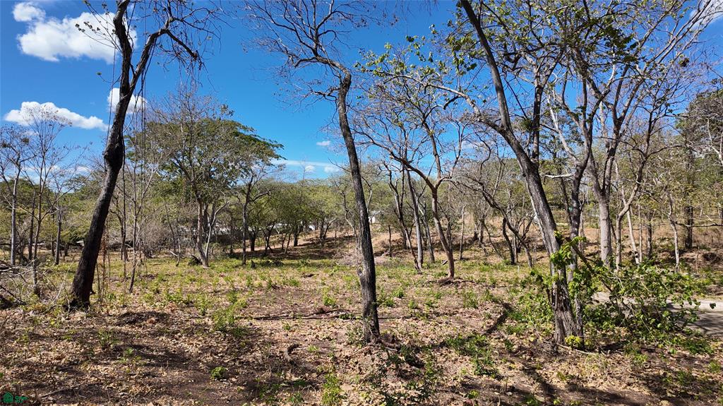 Grande Reserve Lot 1 - Playa Grande