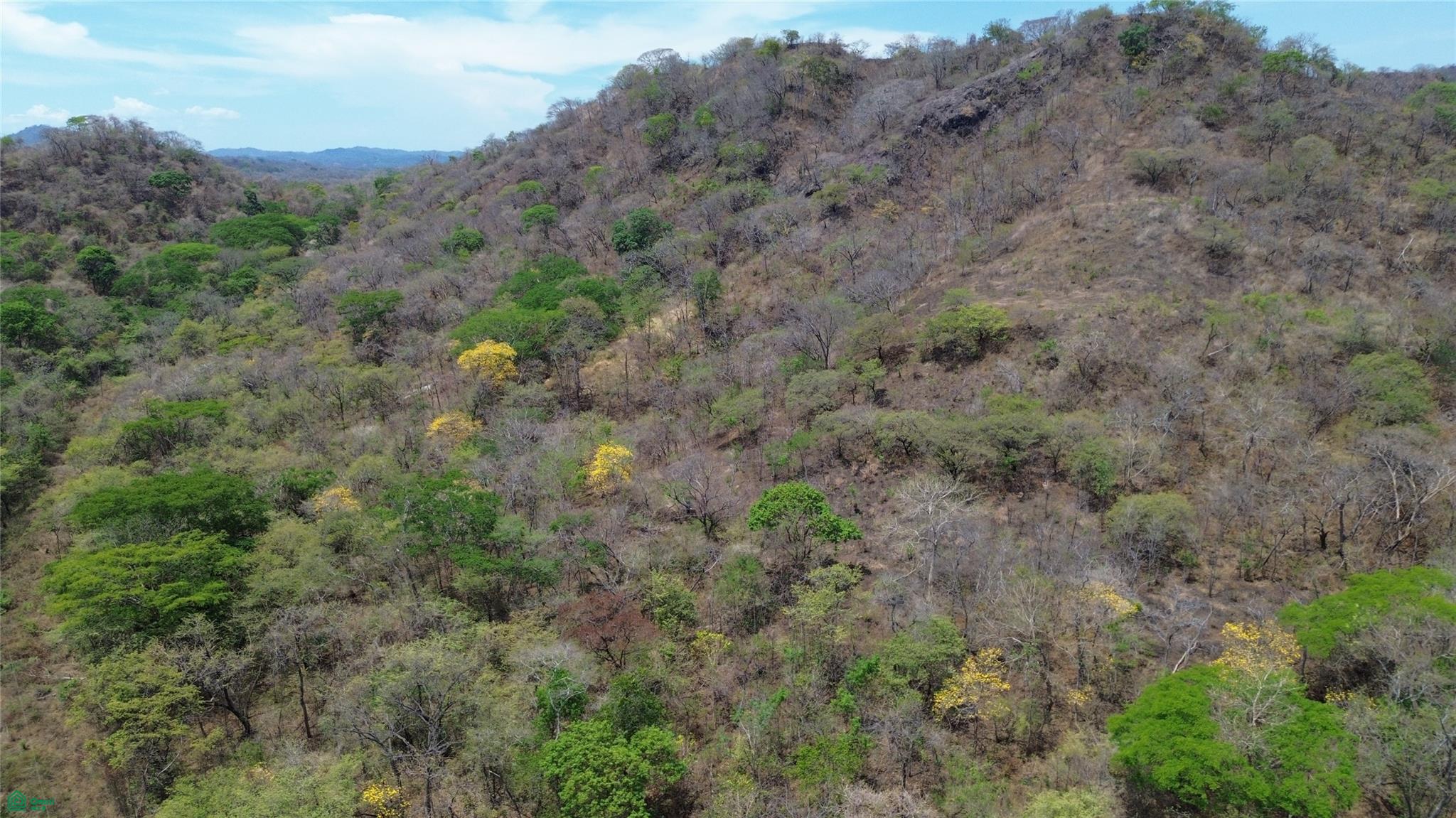 10 Hecs Development Opportunity - Puerto Viejo