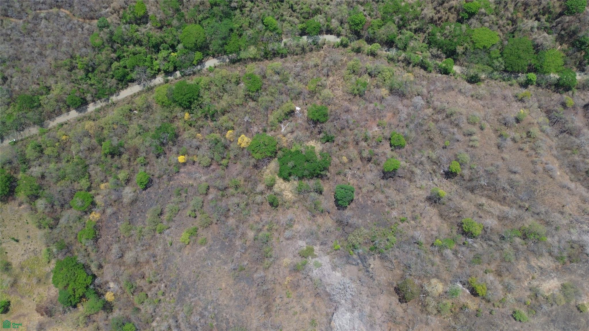 10 Hecs Development Opportunity - Puerto Viejo