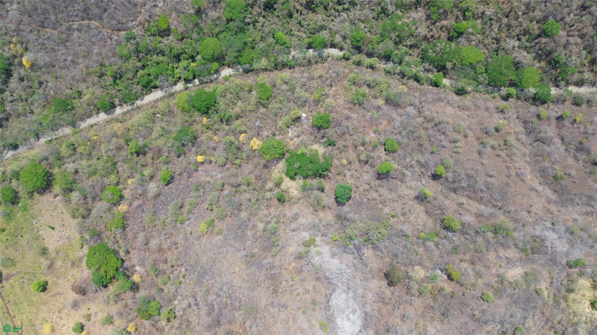 10 Hecs Development Opportunity - Puerto Viejo