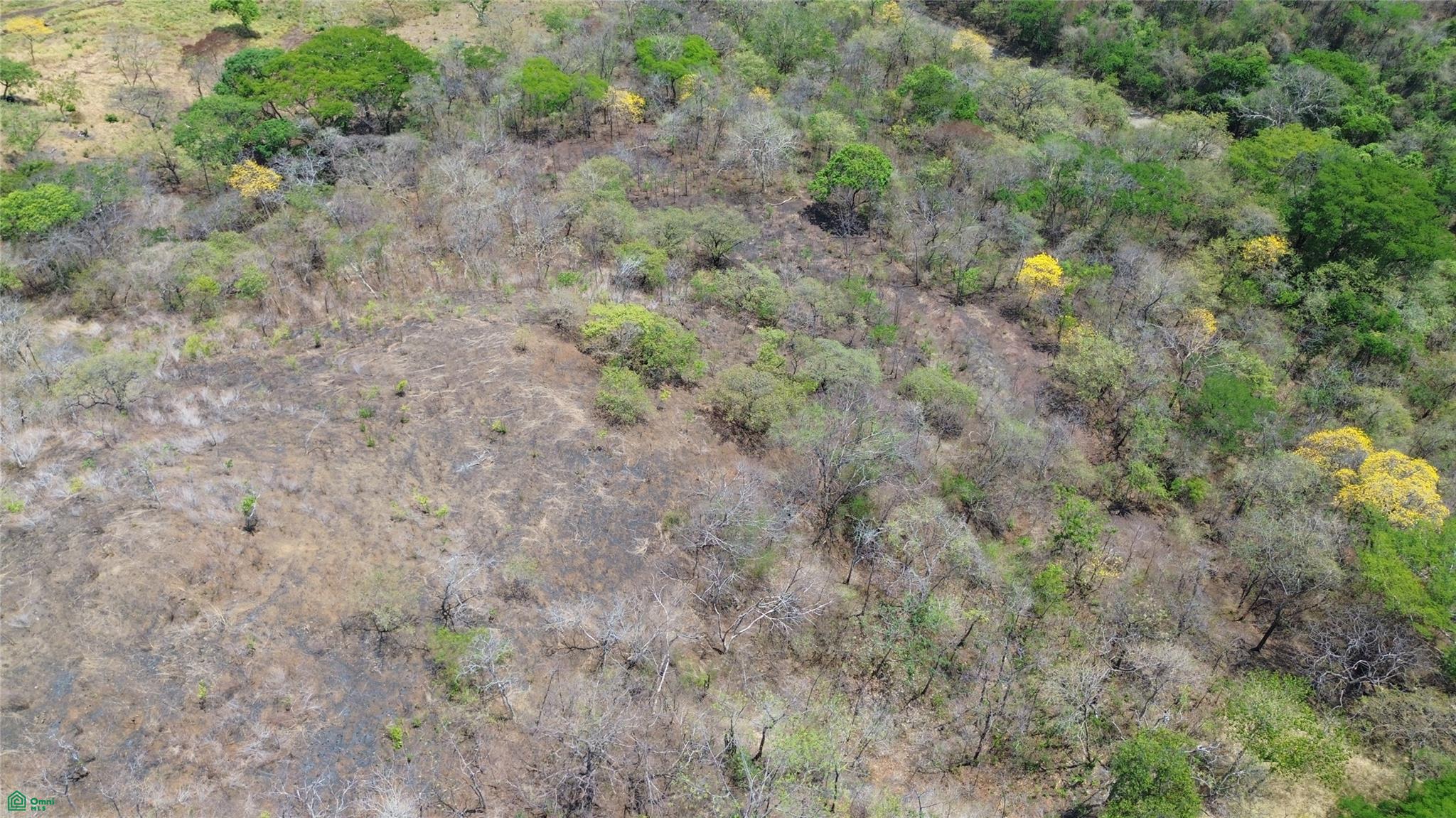 10 Hecs Development Opportunity - Puerto Viejo