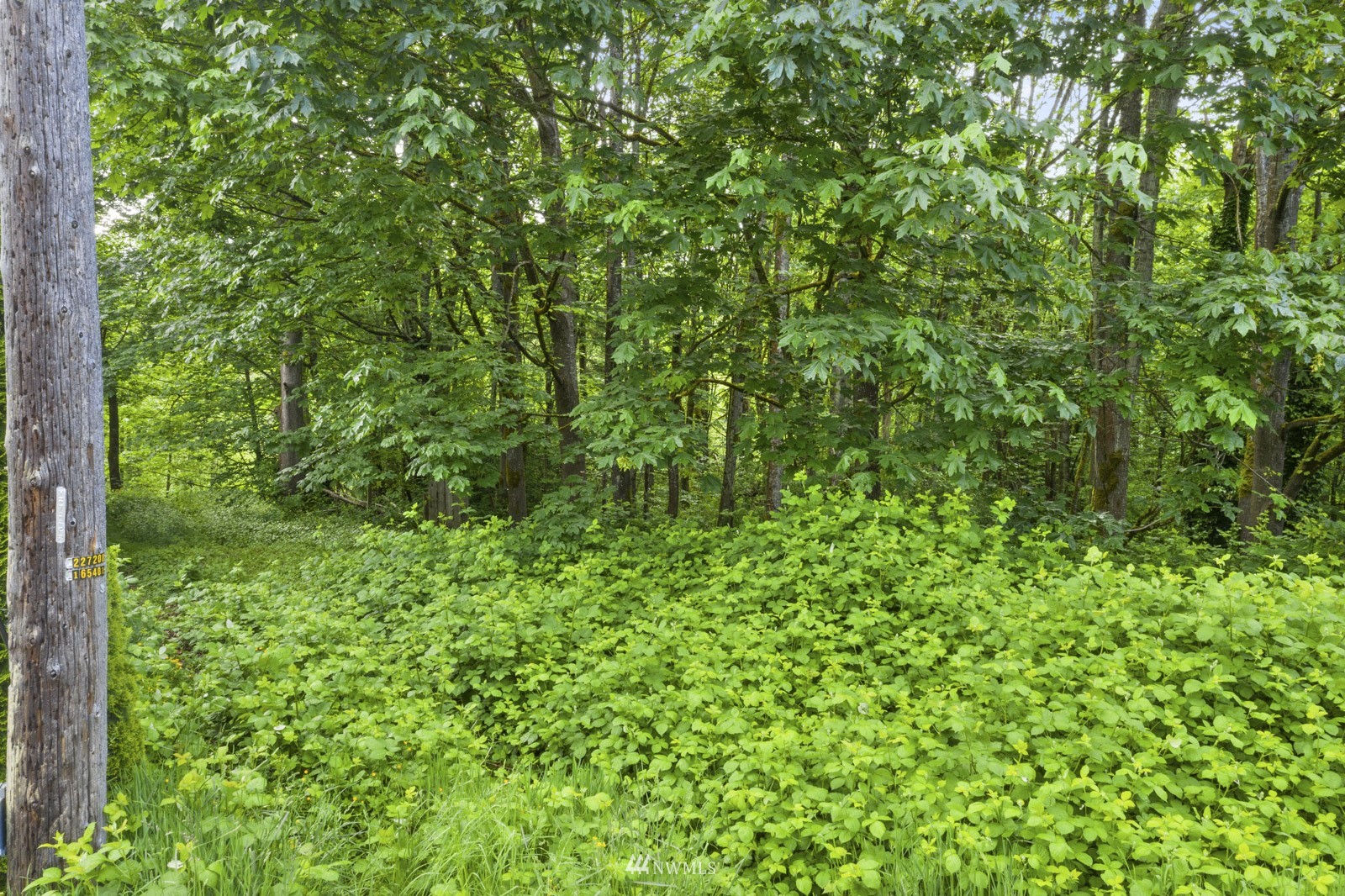 15008 75th Avenue NE