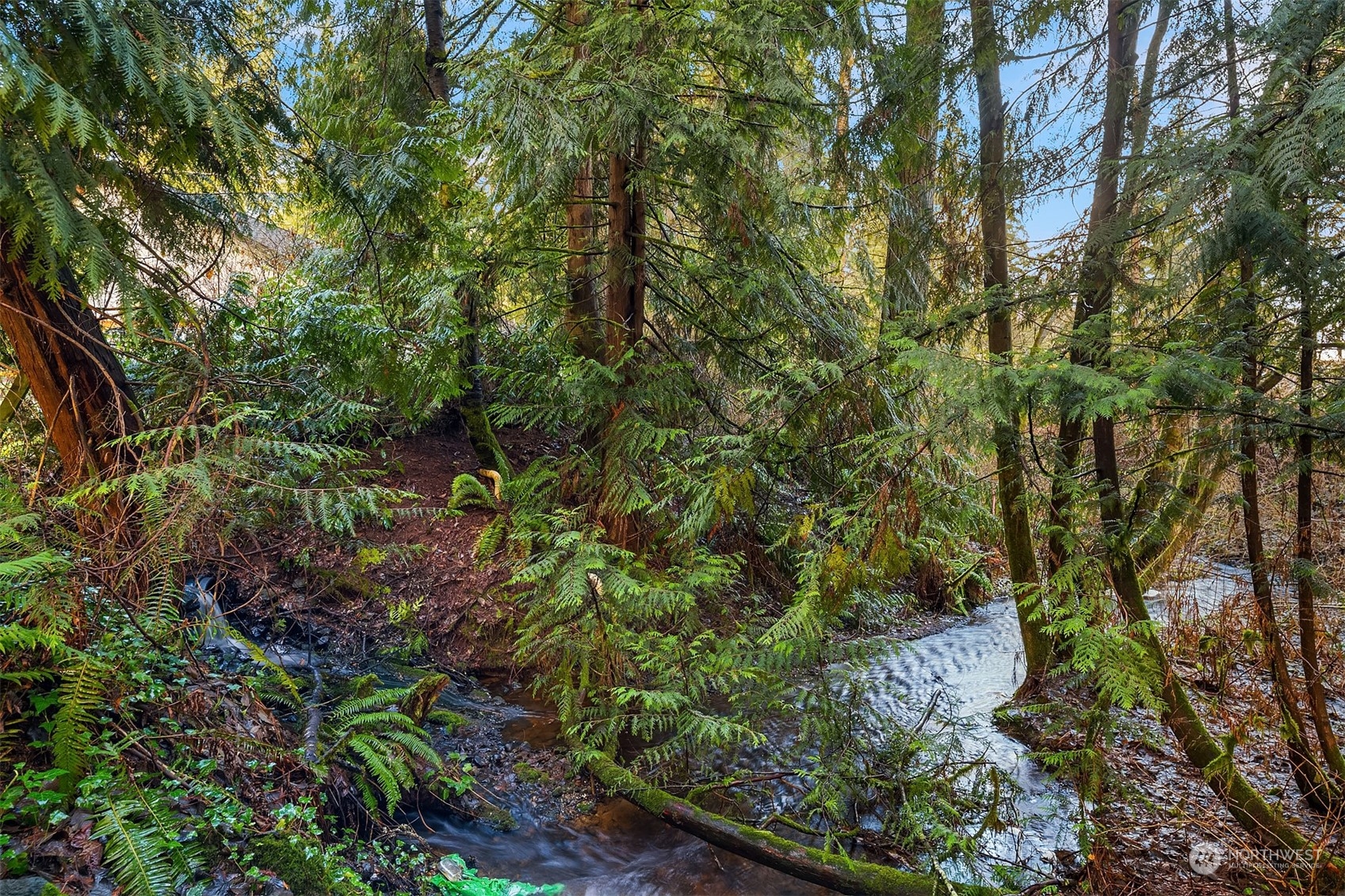 14445 Avondale Road NE, -6395