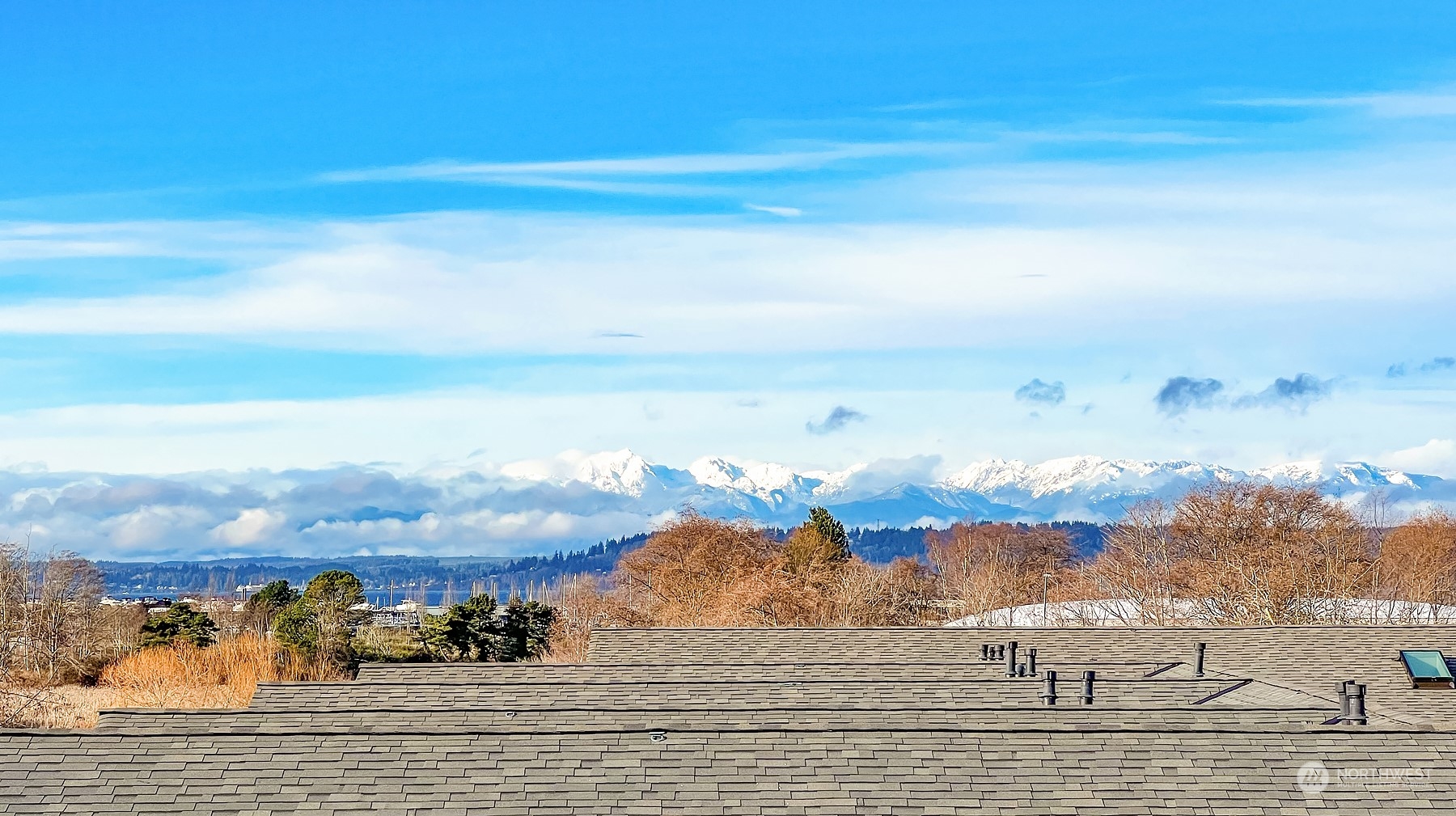 402 3rd Avenue S #B204