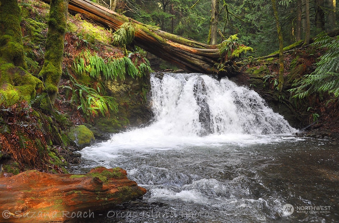 63 Marina Heights Lane