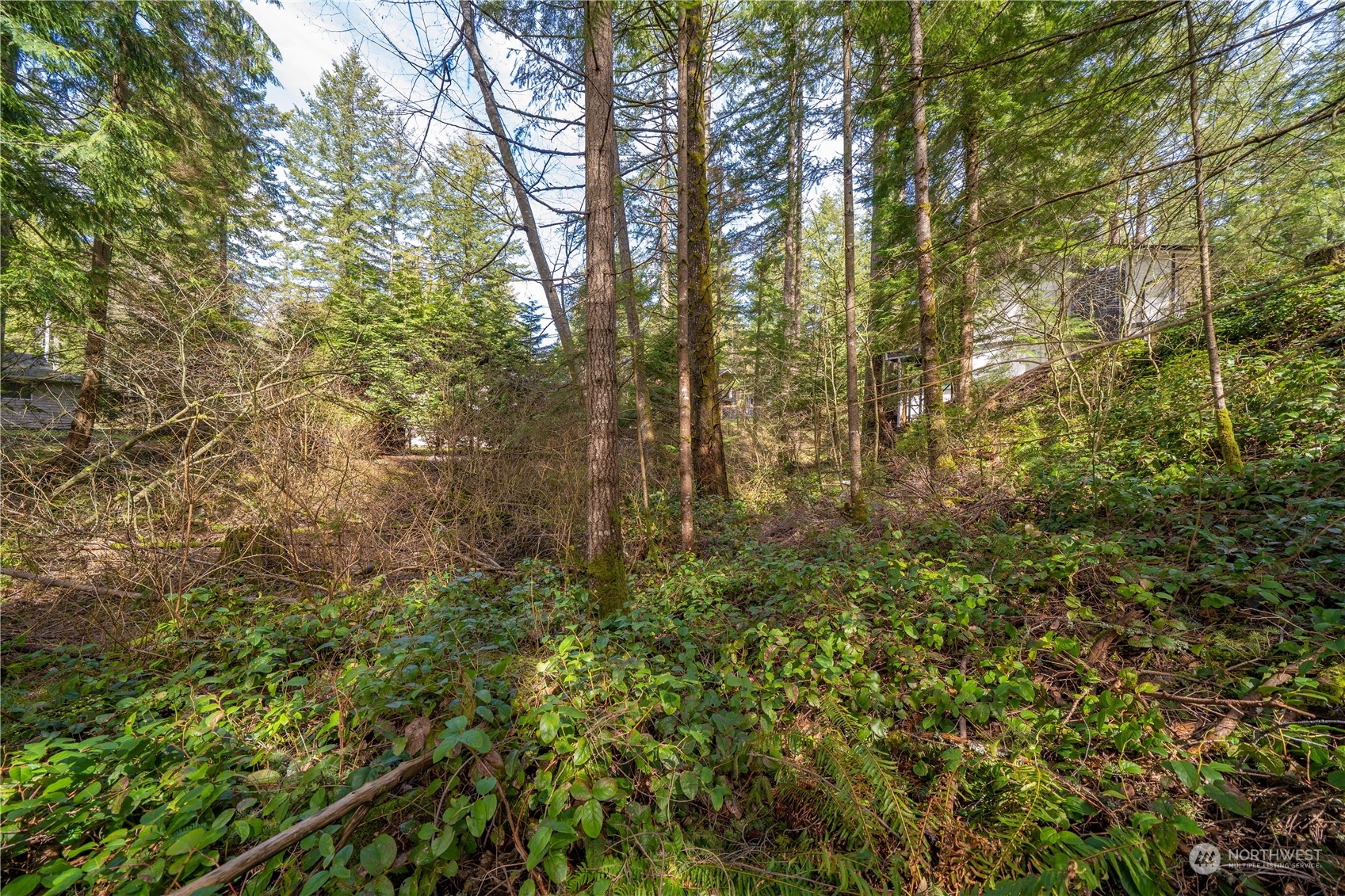 17031 427th Avenue SE