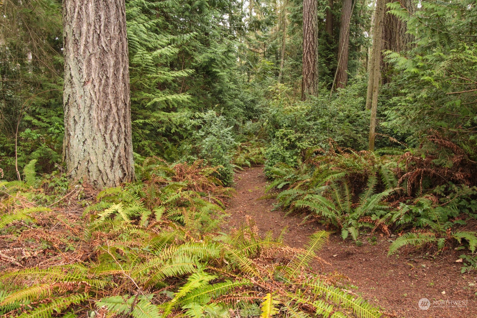 32385 NE Old Hansville Road