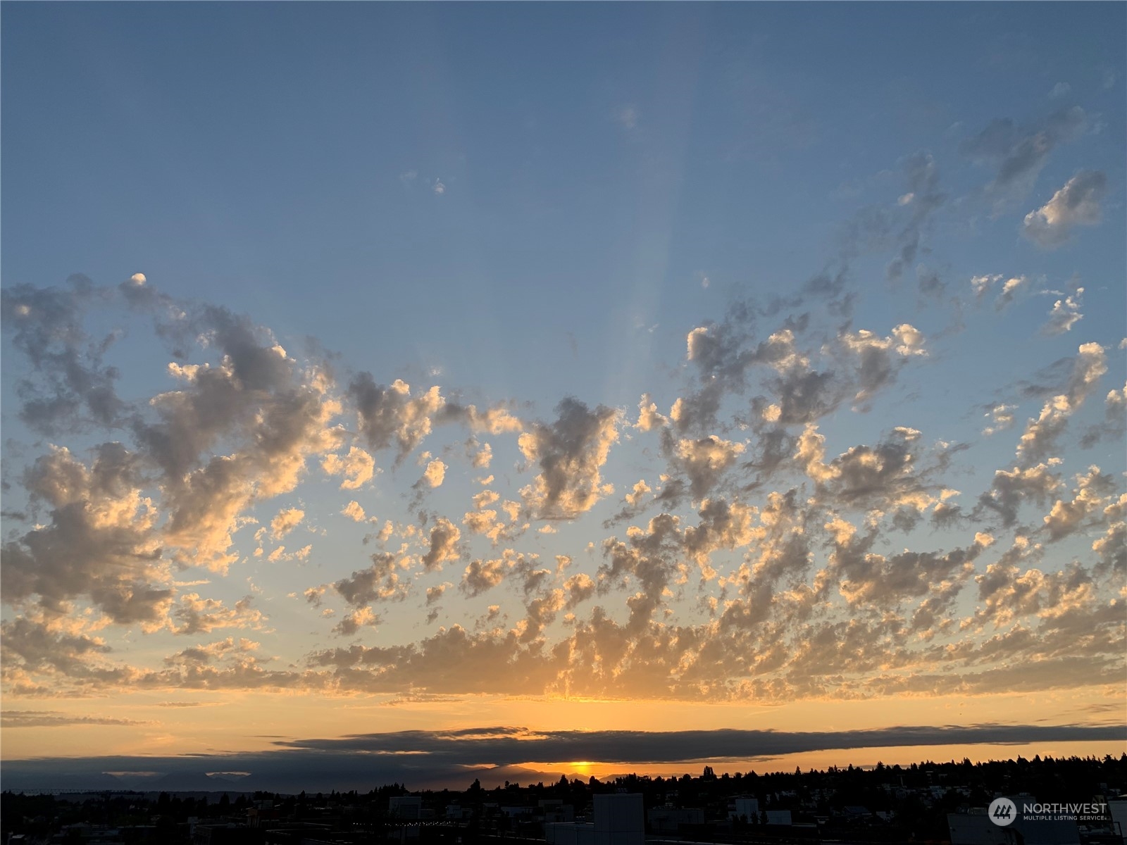 1530 NW Market Street Unit: 305