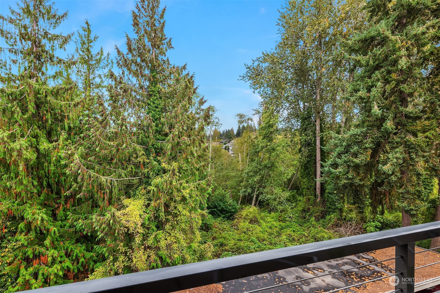 550 Elm Way Unit: 409