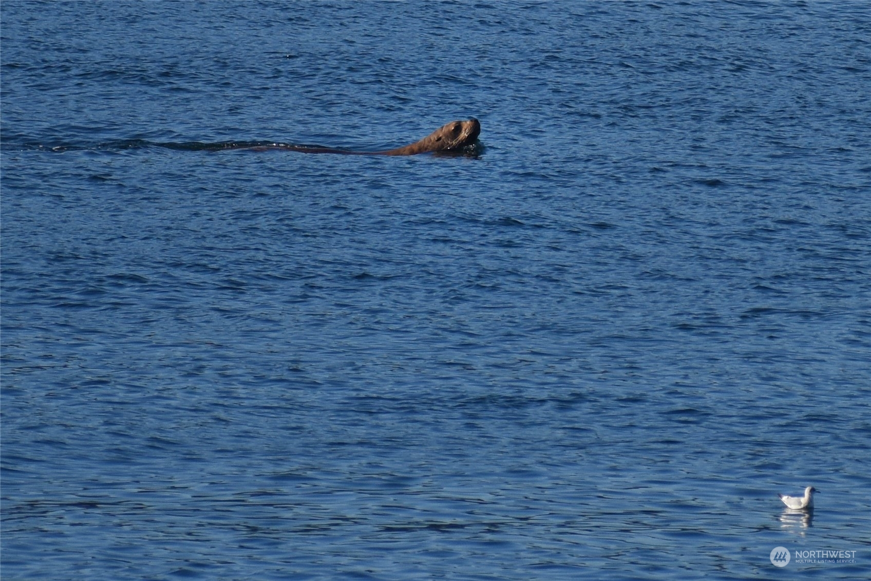 9551 South Beach Drive Unit: 3C