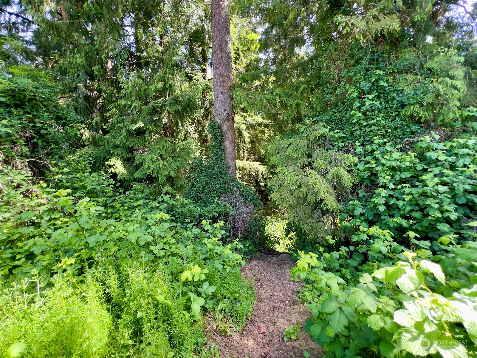 5615 Seahurst Avenue