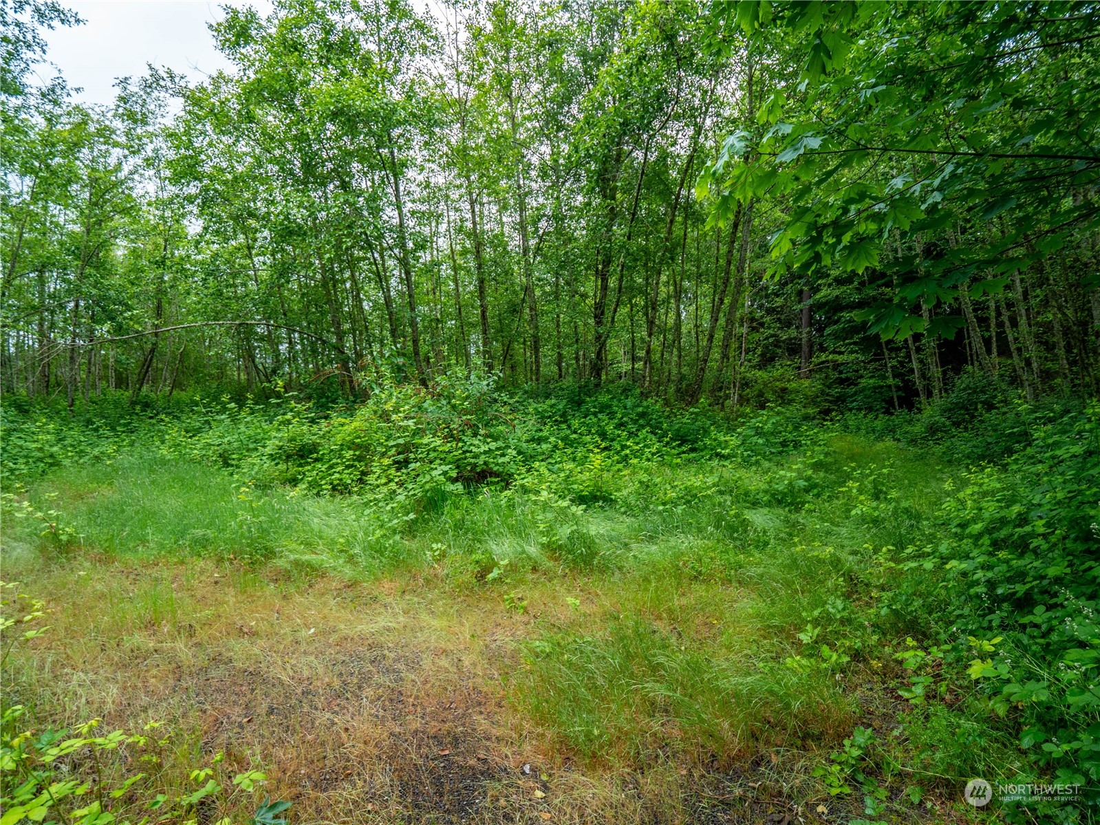 369 XX SE 32nd Street