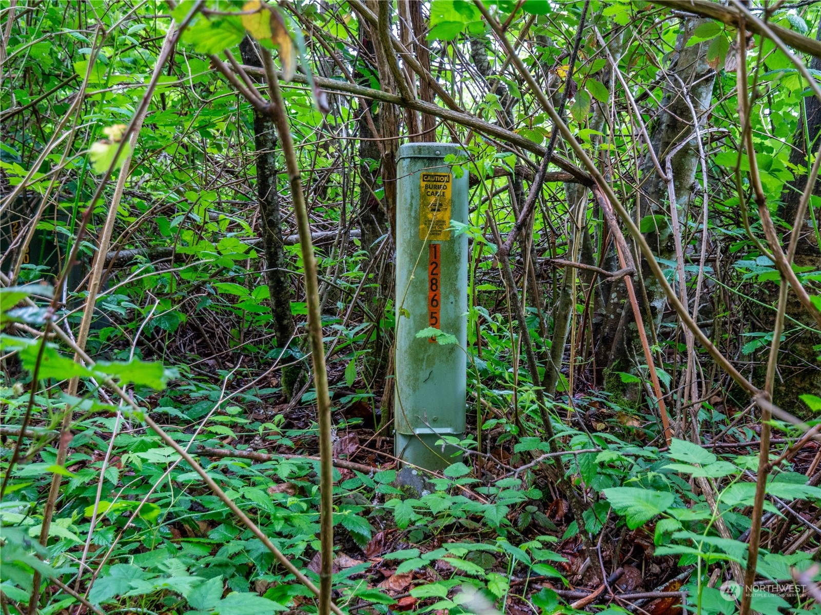 369 XX SE 32nd Street