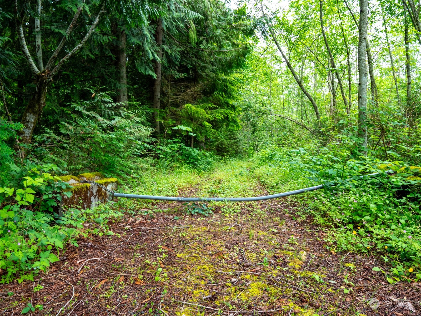 369 XX SE 32nd Street