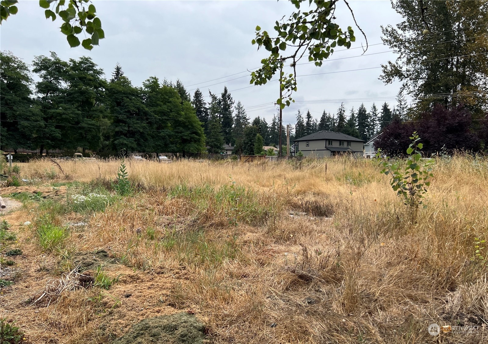 14307 120th Avenue Ct E