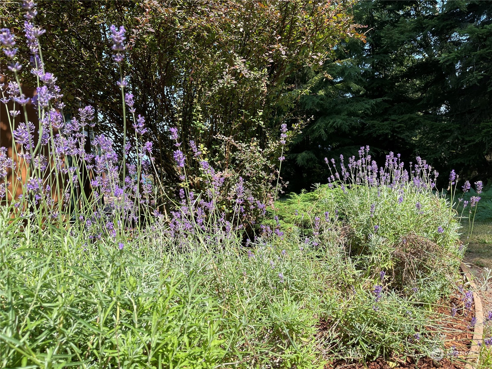 597 Twin Lakes Drive