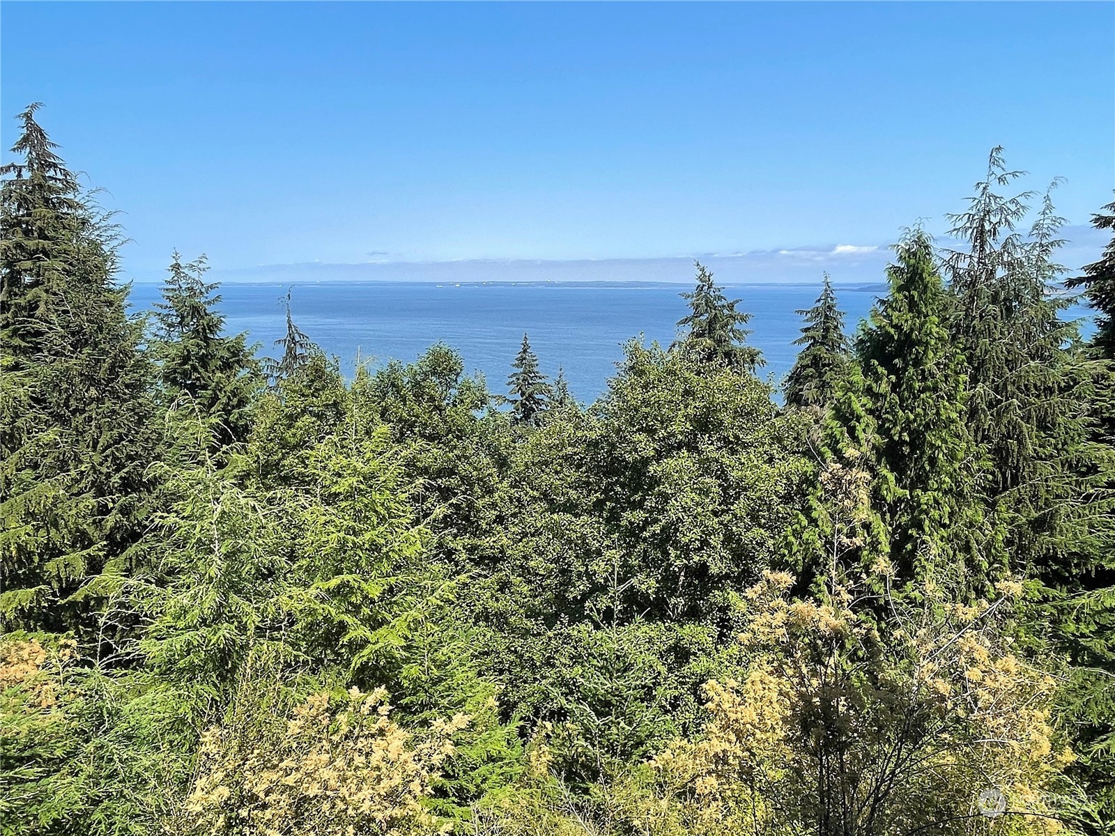 597 Twin Lakes Drive