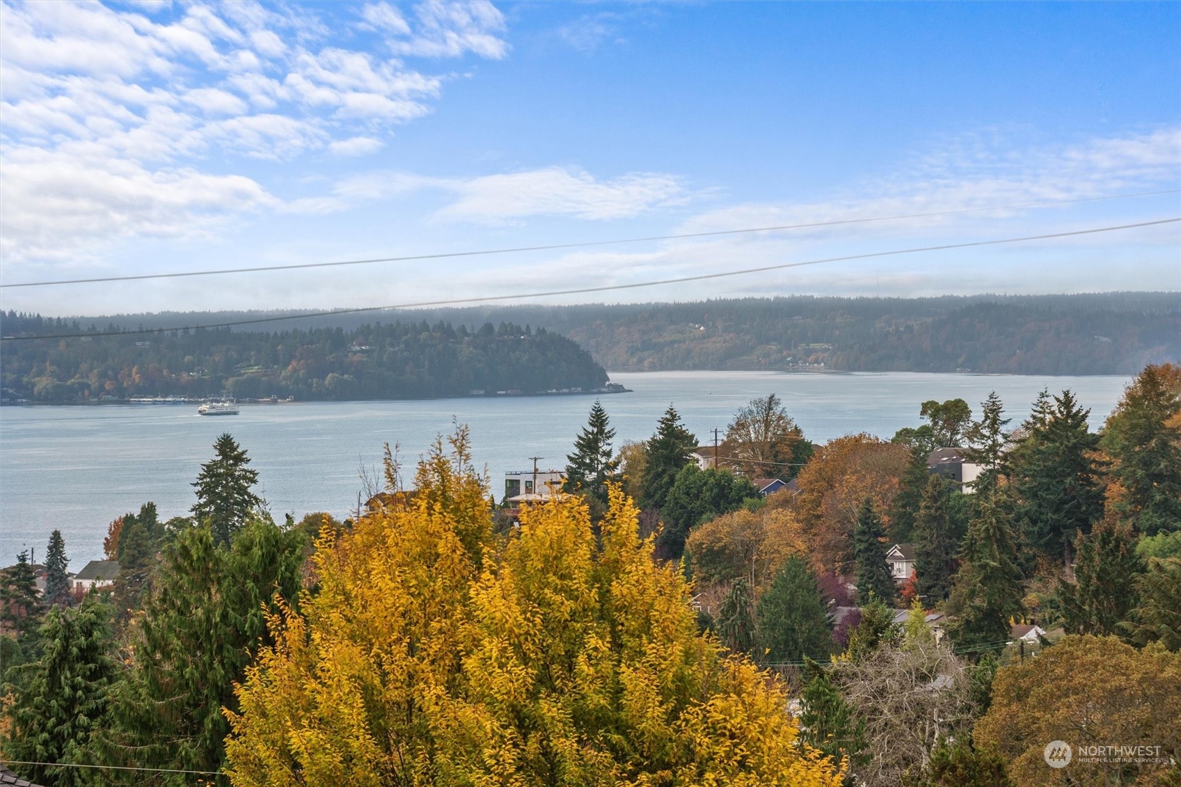 4031 44th Avenue SW #B