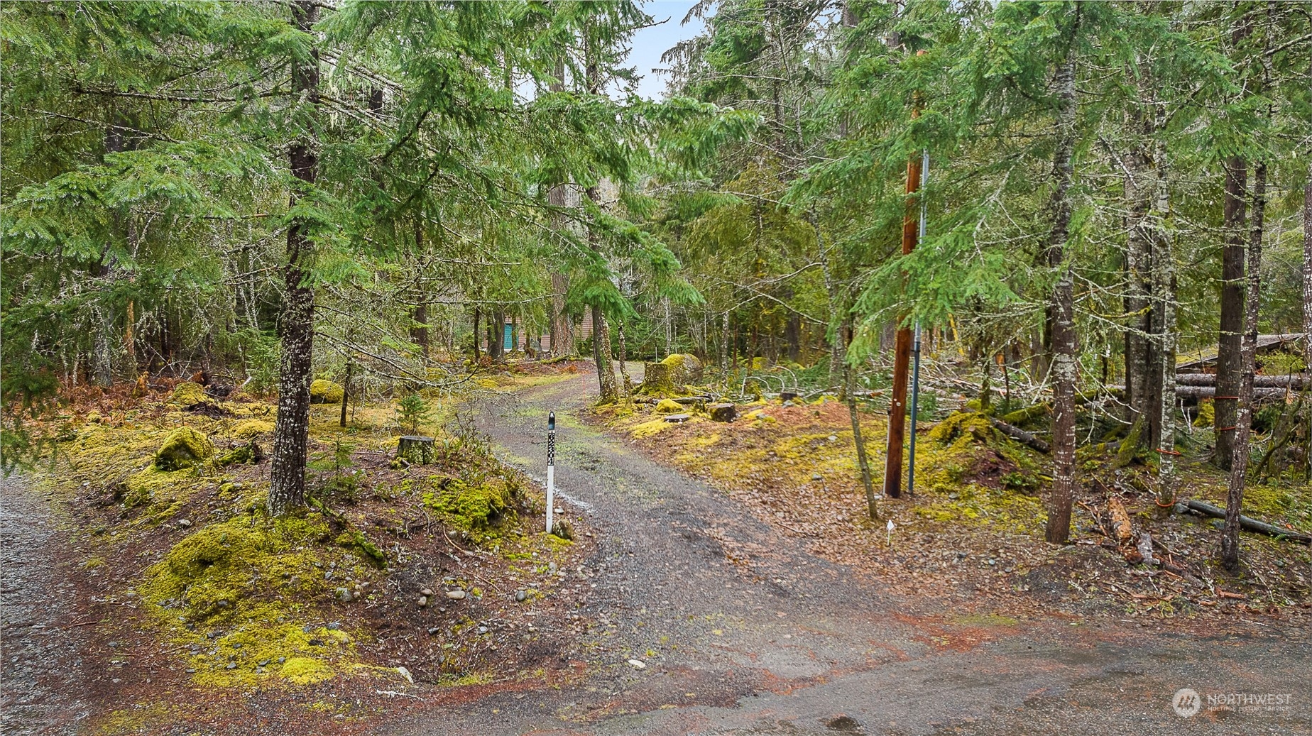 62304 Forest Glen Way E