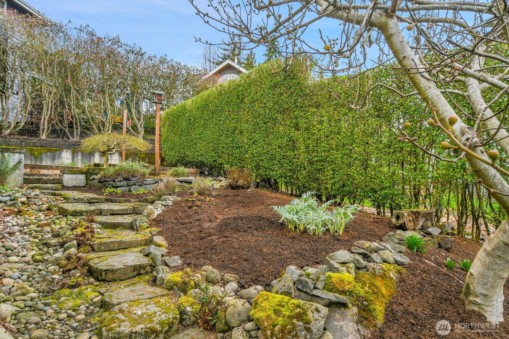 6545 Holly Terrace S