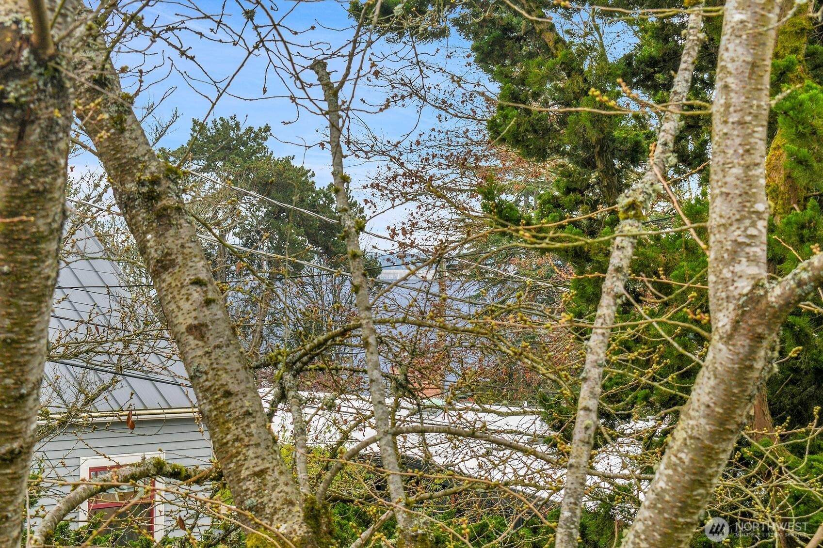 6545 Holly Terrace S