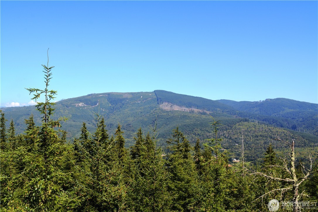 11 Academy Highlands