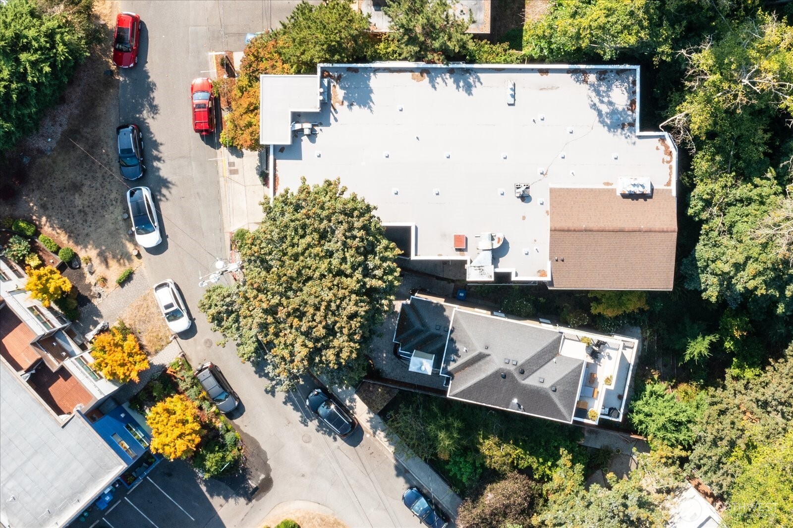 4309 34th Avenue W Unit: 102