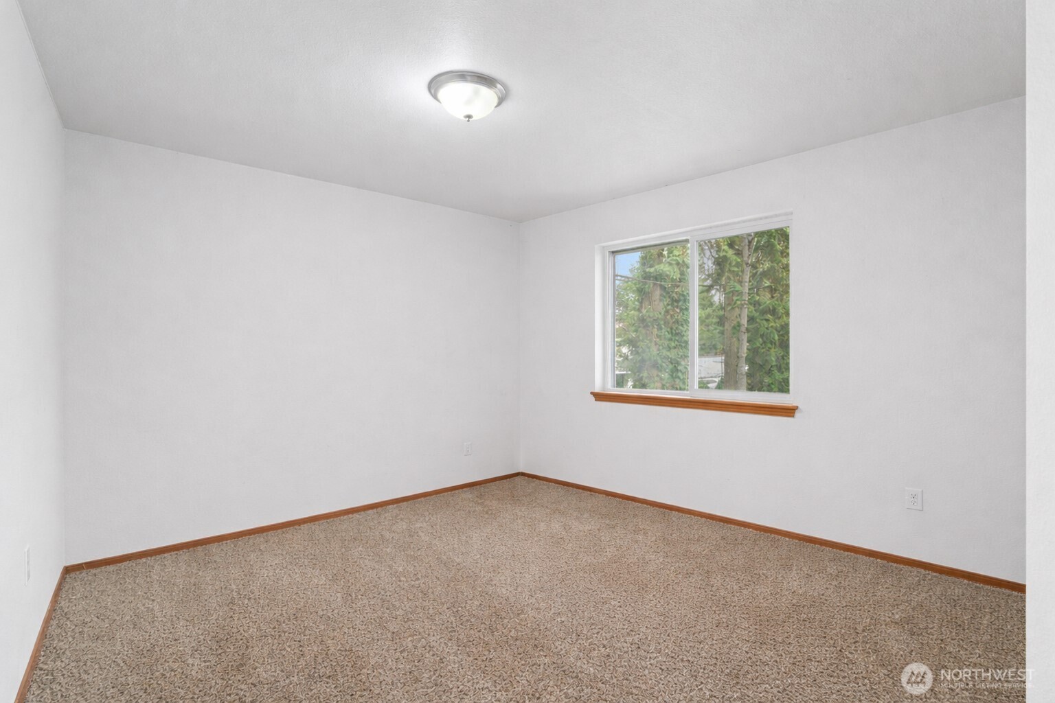 11608 204th Avenue E