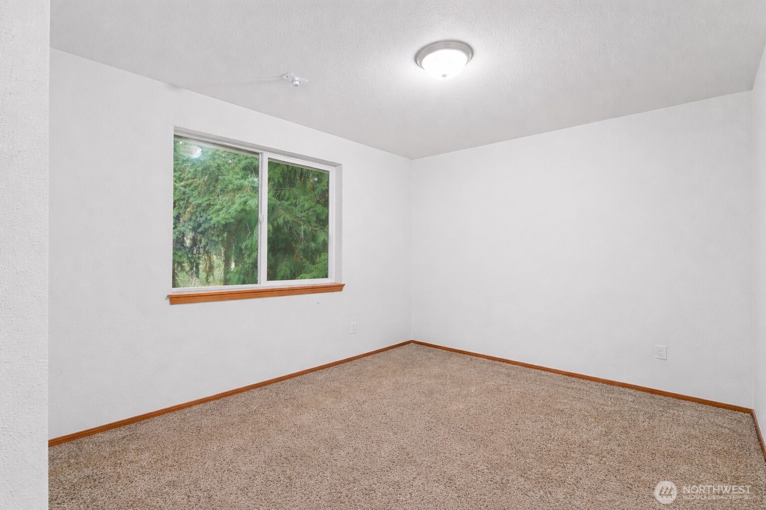 11608 204th Avenue E