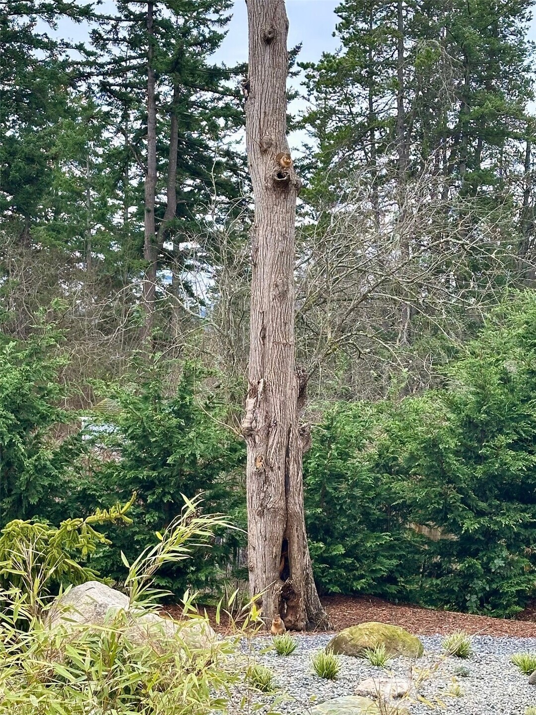 744 Crescent Beach Drive