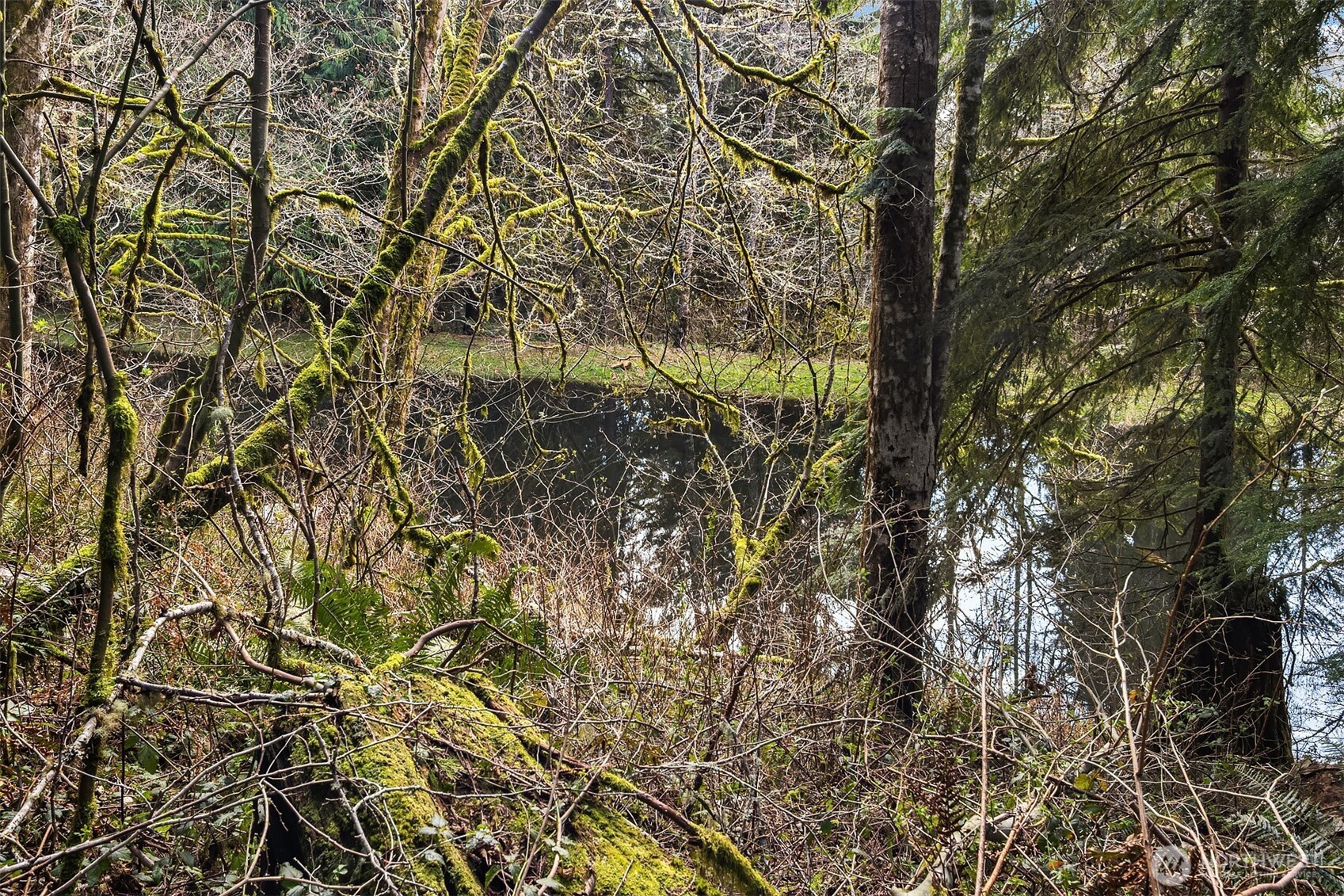 23904 E Lake Kayak Drive