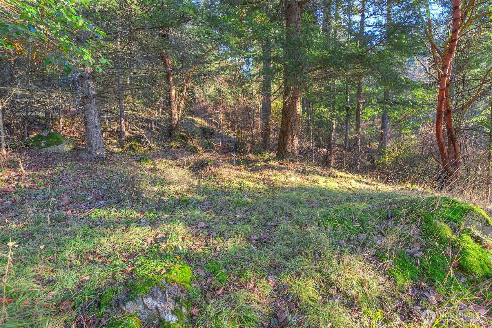 558 Buck Mt. Road
